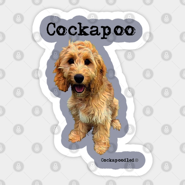 Golden Apricot Cockapoo / Spoodle and Doodle Dog Sticker by WoofnDoodle 